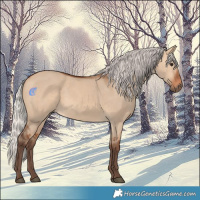 Horse Color:Silver Bay Dun