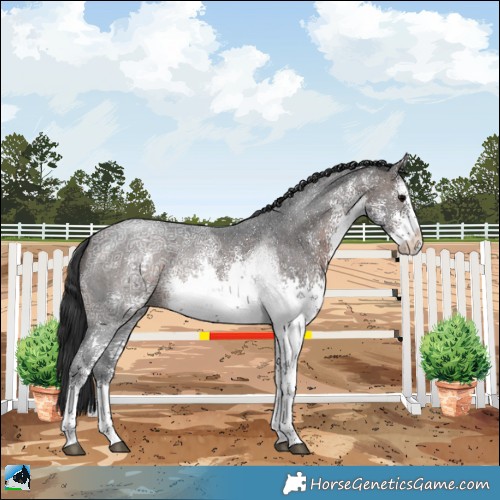 Horse Color:White Spotted Brown Ice Sabino Rabicano 