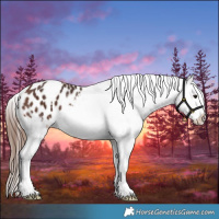Horse Color:Brown Blanket 