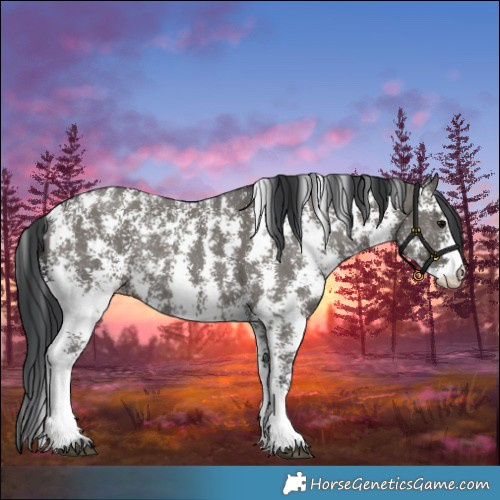 Horse Color:Grullo Sabino Rabicano 