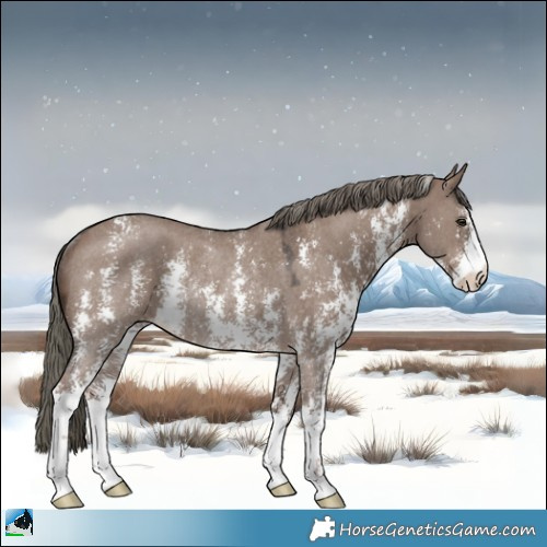 Horse Color:Liver Red Dun Mushroom Sabino Rabicano 