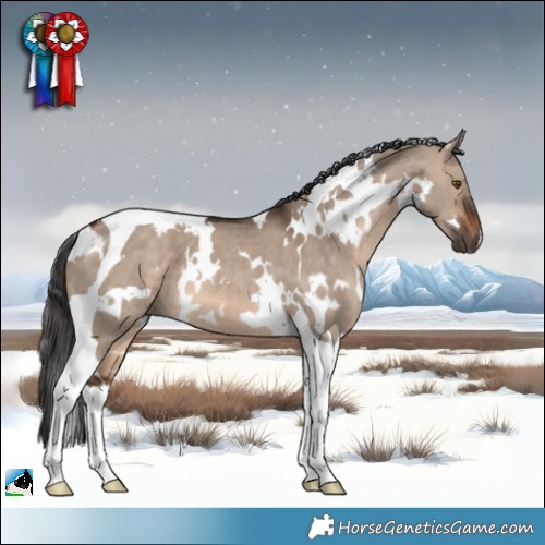 Horse Color:White Spotted Brown Dun Mushroom Tobiano 