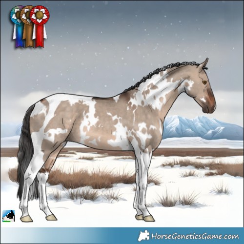 Horse Color:White Spotted Brown Dun Mushroom Tobiano 