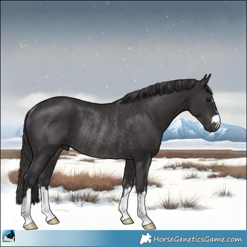 Horse Color:Smoky Black Mushroom Rabicano 