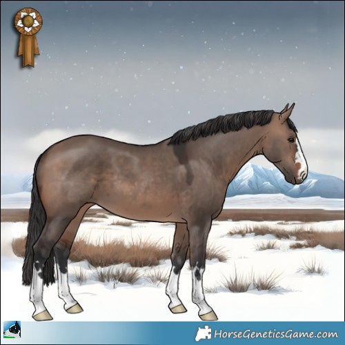 Horse Color:Brown Dun Mushroom 