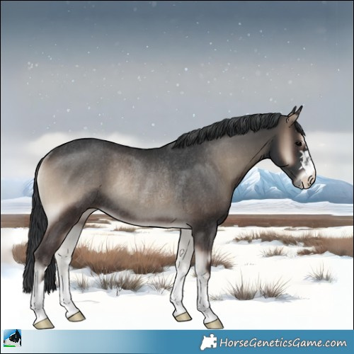 Horse Color:Blue Onyx Rabicano 