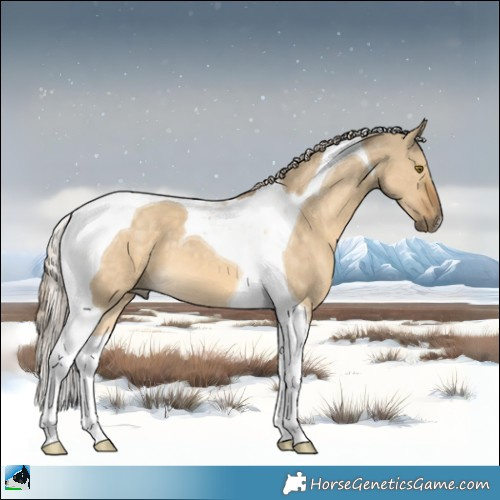 Horse Color:Chocolate Palomino Dun Mushroom Tobiano 