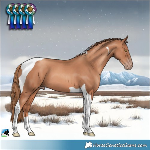 Horse Color:Gold Champagne Tobiano 