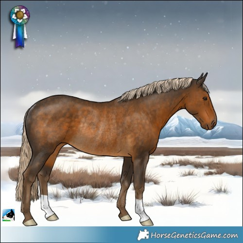 Horse Color:Chocolate Palomino Rabicano 