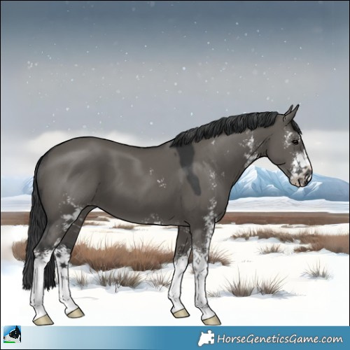 Horse Color:Grullo Sabino 