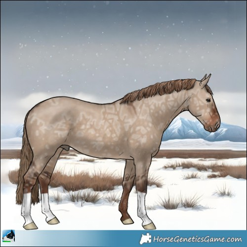 Horse Color:Liver Red Dun Ice 
