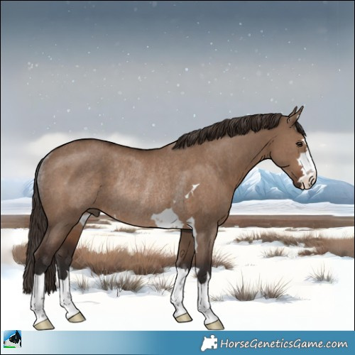 Horse Color:Liver Red Dun Rabicano 