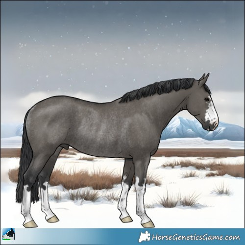 Horse Color:Grullo Mushroom Rabicano 