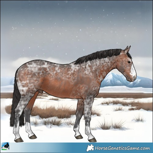 Horse Color:Brown Ice Rabicano 