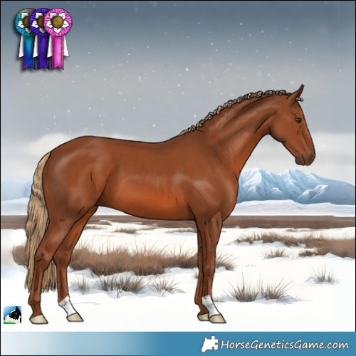 Horse Color:Chestnut 