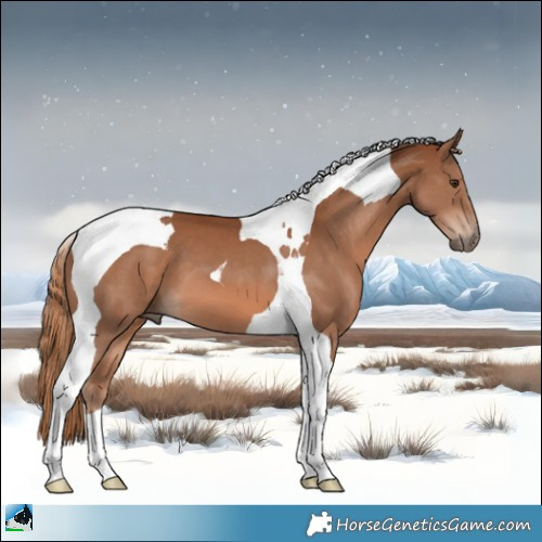 Horse Color:Chestnut Tobiano 