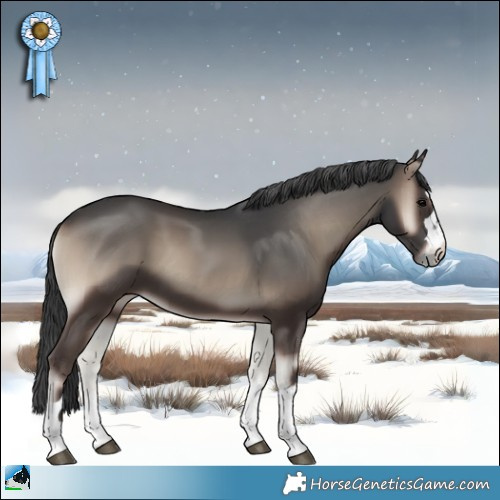 Horse Color:Blue Onyx 