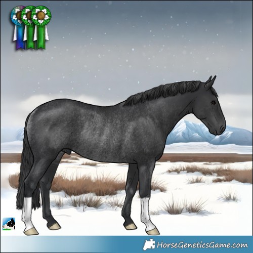 Horse Color:Black Rabicano 