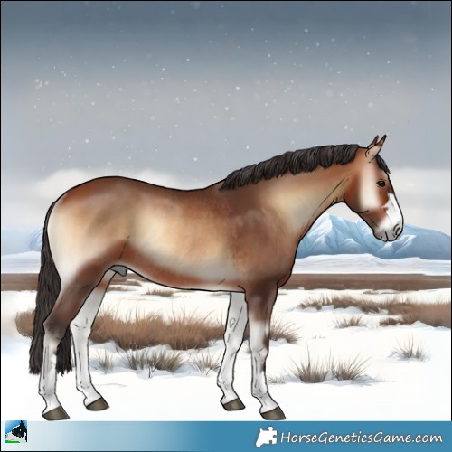Horse Color:Bay Onyx Rabicano 