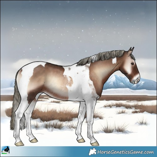Horse Color:Liver Red Onyx Mushroom Tobiano Rabicano 