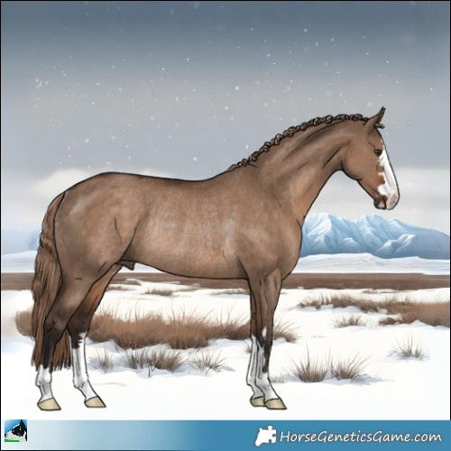 Horse Color:Liver Red Dun Rabicano 