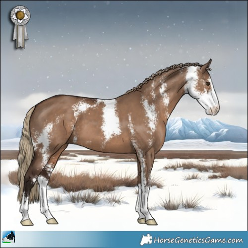 Horse Color:Liver Red Dun Sabino 