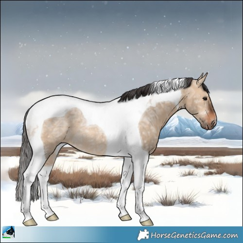 Horse Color:Bay Ice Dun Tobiano Rabicano 