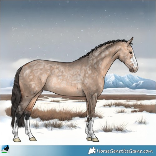 Horse Color:Bay Ice Dun Mushroom Rabicano 