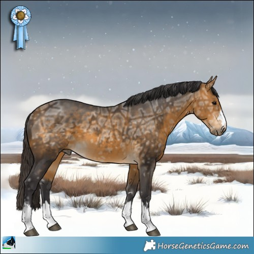 Horse Color:Buckskin Ice 