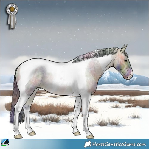 Horse Color:Nacre Buckskin Ice Tobiano Rabicano 