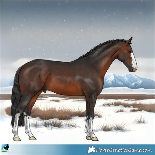 Horse Color:Brown 