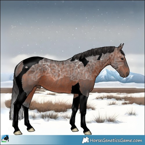 Horse Color:Brown Ice Tobiano Rabicano 