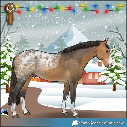 Horse Color:Buckskin Ice 