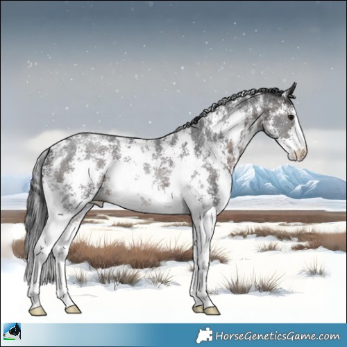 Horse Color:Brown Mushroom Sabino Rabicano 