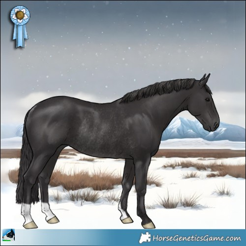 Horse Color:Smoky Black Mushroom Rabicano 