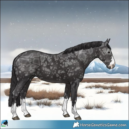 Horse Color:Smoky Black Ice Mushroom Rabicano 