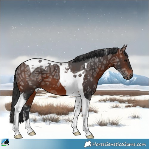 Horse Color:Brown Ice Mushroom Tobiano 
