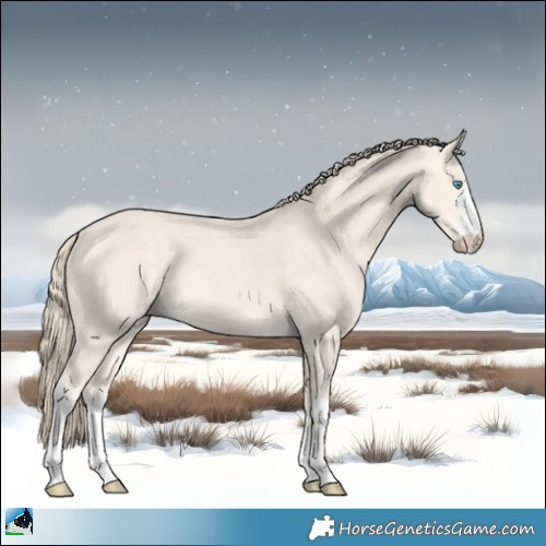 Horse Color:Perlino Mushroom 