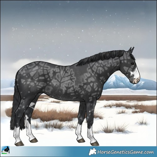 Horse Color:Black Ice Mushroom Rabicano 