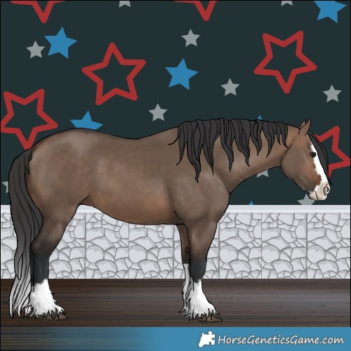 Horse Color:Brown Dun Splash 