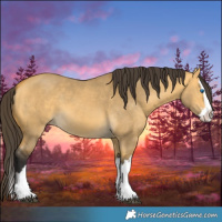 Horse Color:Buckskin Dun Splash 