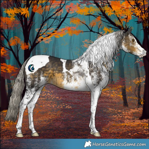 Horse Color:White Spotted Silver Buckskin Tobiano 