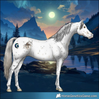 Horse Color:White Spotted Silver Buckskin Tobiano 