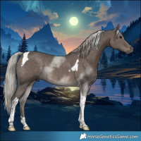 Horse Color:Silver Black Tobiano 