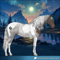 Horse Color:Silver Black Tobiano 