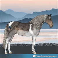 Horse Color:Silver Smoky Black Tobiano 