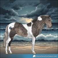 Horse Color:Silver Smoky Black Tobiano 