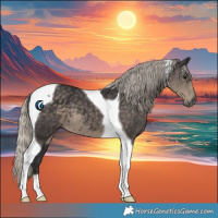 Horse Color:Silver Smoky Black Tobiano 