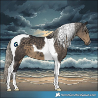 Horse Color:Silver Smoky Black Tobiano 