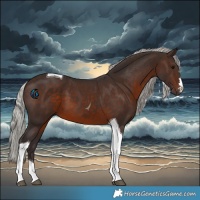 Horse Color:Silver Brown Tobiano